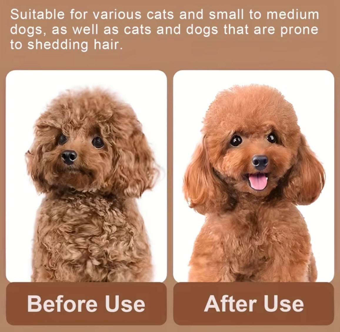 Pet Blow-Dry Brush