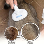 Pet Blow-Dry Brush