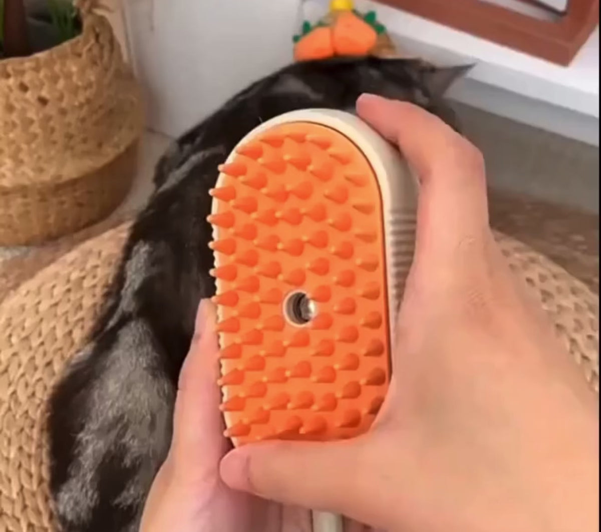 Mist Grooming Brush